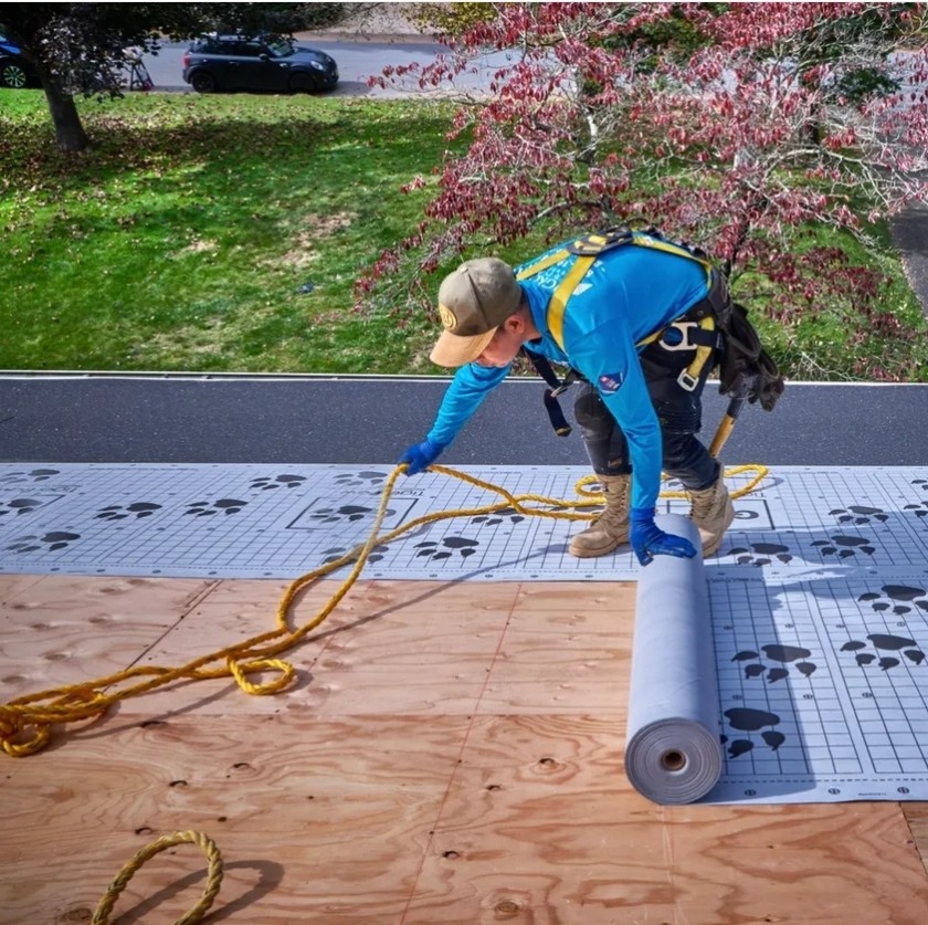 Residential shingle roof preparation with synthetic underlayment